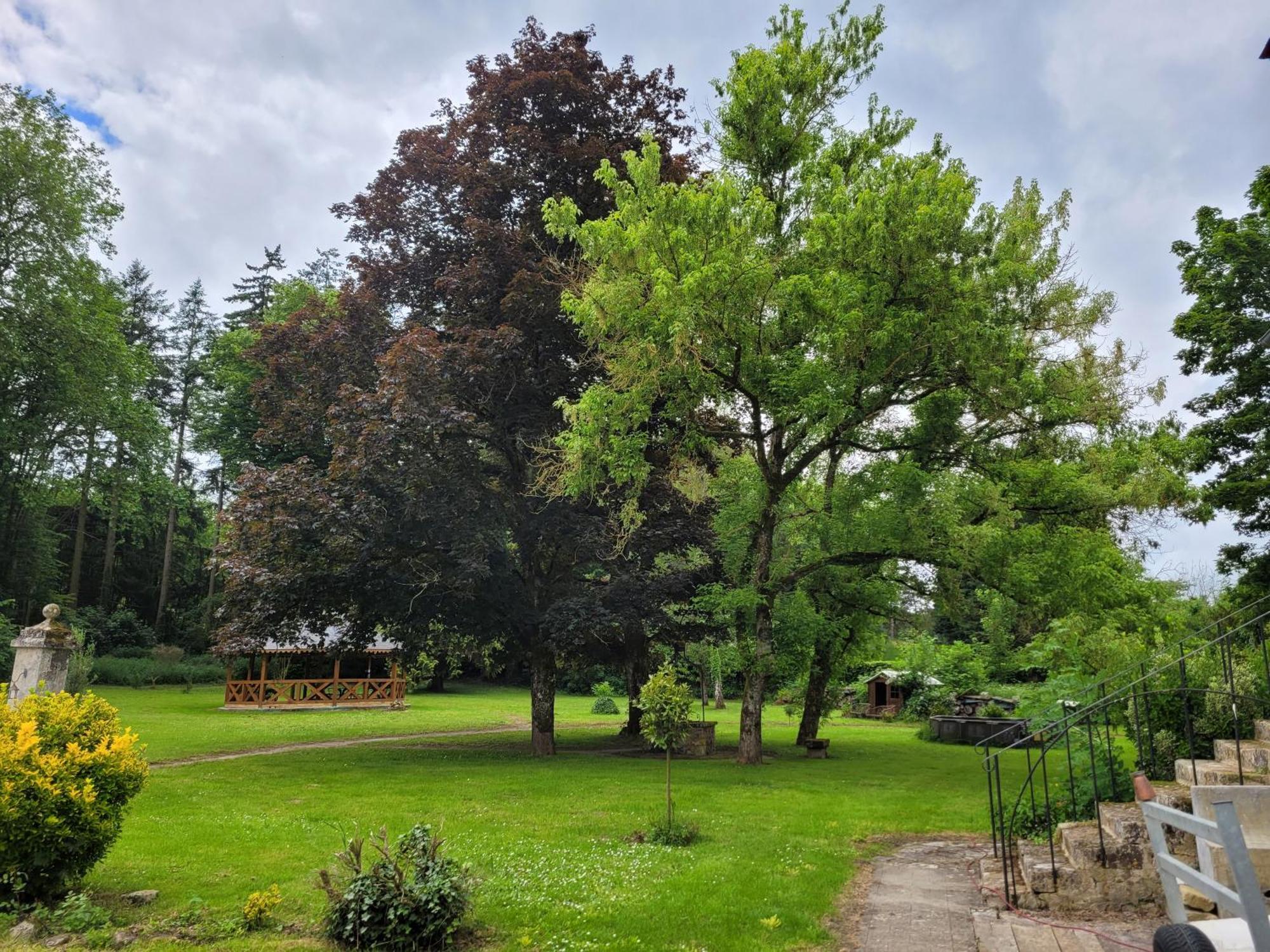 Le Manoir Paradi Presles-et-Thierny ภายนอก รูปภาพ
